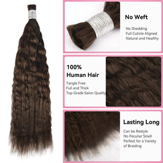#2 Hot Braids Bulk Human Hair Wet & Wavy CVOHAIR
