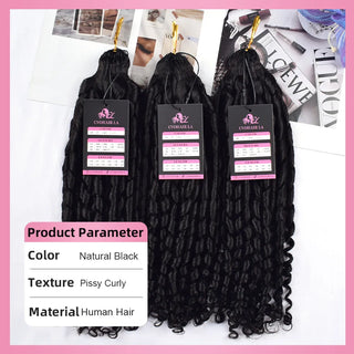 Pissy Curly Crochet 100% Human Hair Hair Extensions CVOHAIR